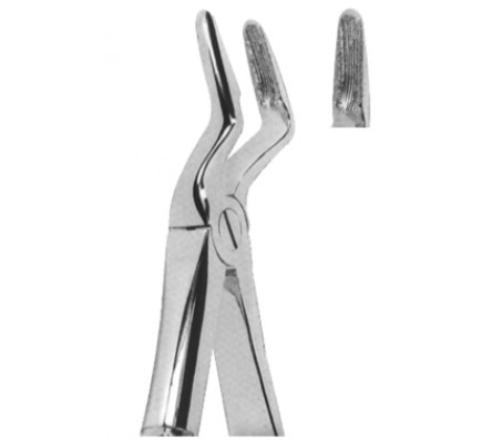 Extracting Forceps